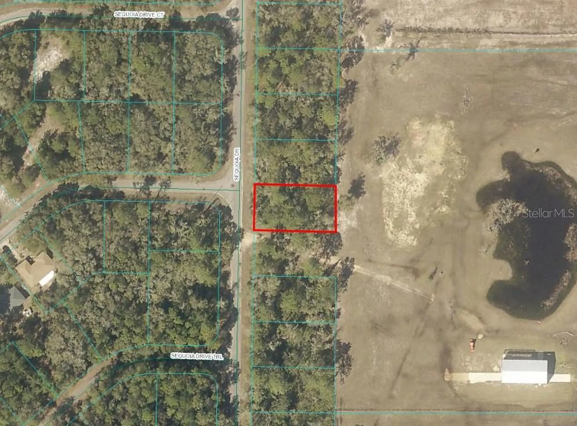 Sequoia Drive Ocklawaha FL 32179