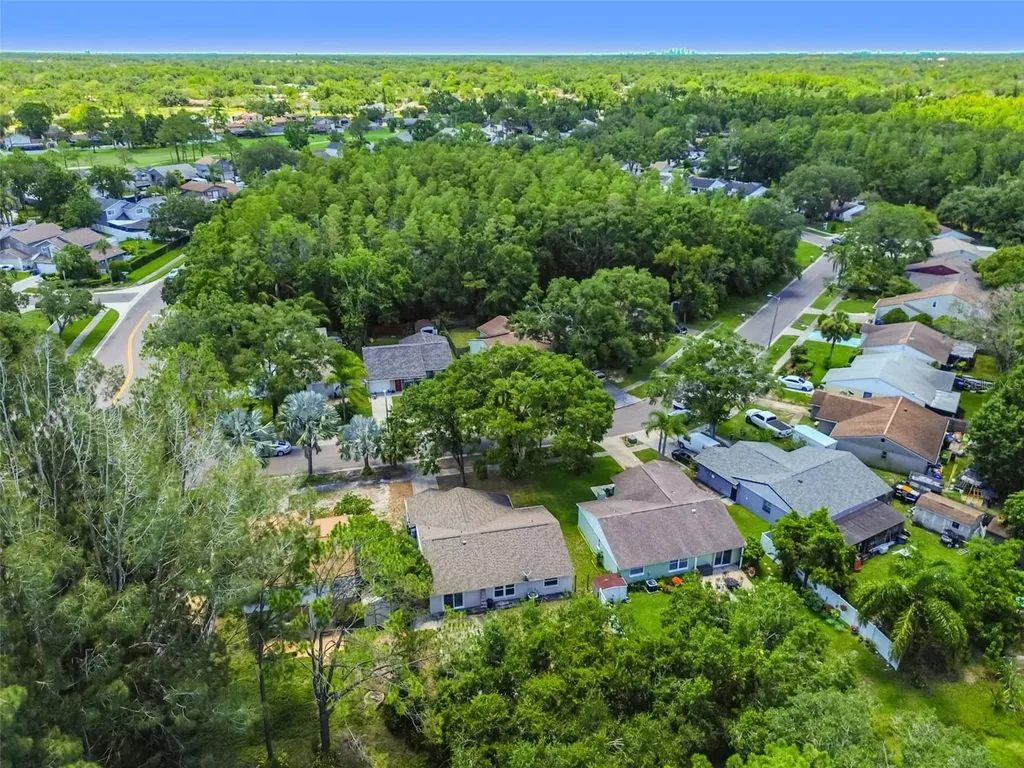 16138 Manorwood Circle Tampa FL 33624