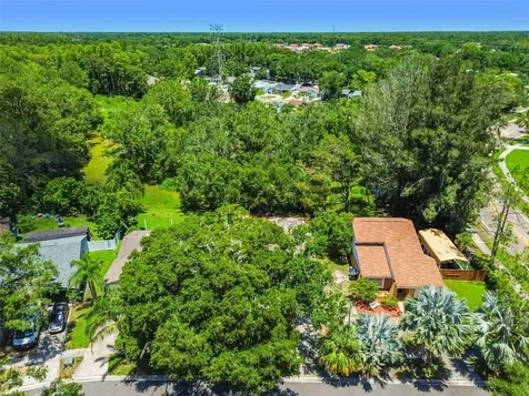 16138 Manorwood Circle Tampa FL 33624