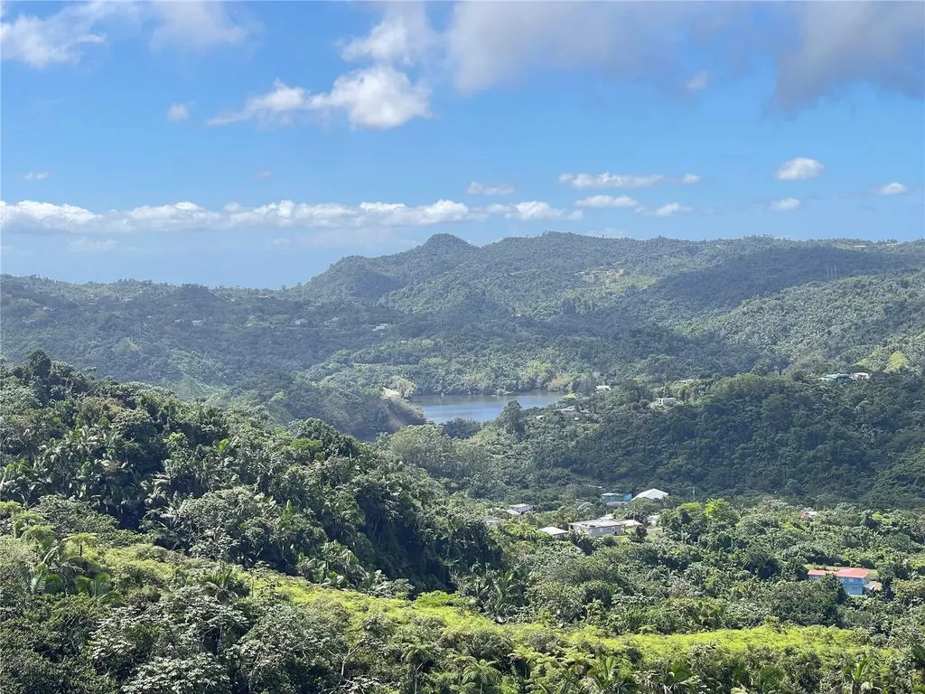 PR-518 Km.10.0 Garzas Ward Adjuntas PR 00601