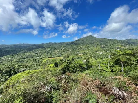 PR-518 Km.10.0 Garzas Ward Adjuntas PR 00601
