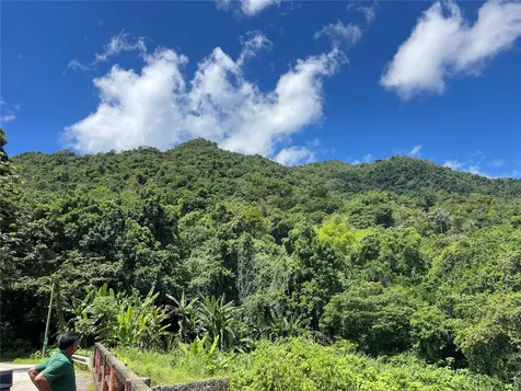 PR-518 Km.10.0 Garzas Ward Adjuntas PR 00601