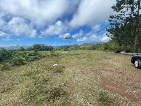 PR-518 Km.10.0 Garzas Ward Adjuntas PR 00601