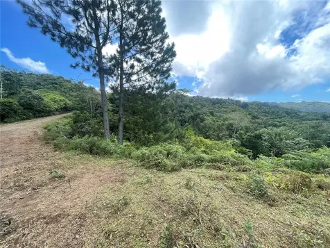 PR-518 Km.10.0 Garzas Ward Adjuntas PR 00601