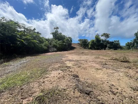 PR-518 Km.10.0 Garzas Ward Adjuntas PR 00601