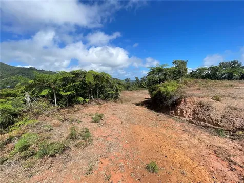 PR-518 Km.10.0 Garzas Ward Adjuntas PR 00601
