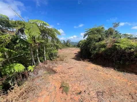 PR-518 Km.10.0 Garzas Ward Adjuntas PR 00601