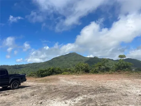 PR-518 Km.10.0 Garzas Ward Adjuntas PR 00601