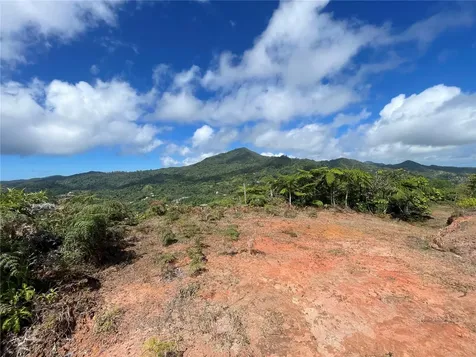 PR-518 Km.10.0 Garzas Ward Adjuntas PR 00601