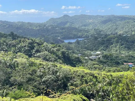 PR-518 Km.10.0 Garzas Ward Adjuntas PR 00601
