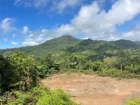 PR-518 Km.10.0 Garzas Ward Adjuntas PR 00601