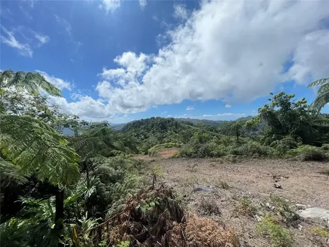 PR-518 Km.10.0 Garzas Ward Adjuntas PR 00601