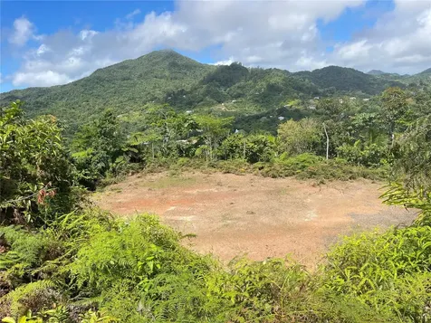 PR-518 Km.10.0 Garzas Ward Adjuntas PR 00601