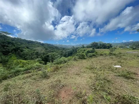 PR-518 Km.10.0 Garzas Ward Adjuntas PR 00601