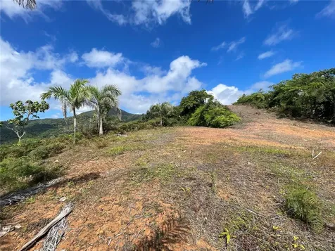 PR-518 Km.10.0 Garzas Ward Adjuntas PR 00601