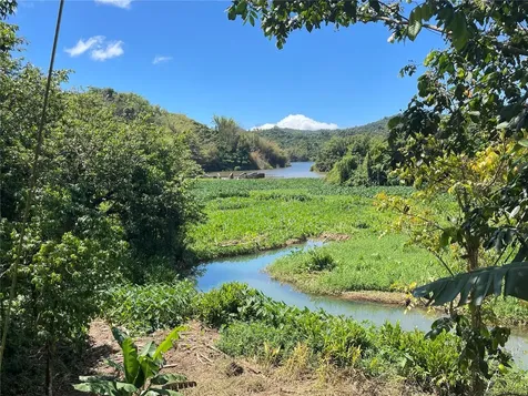 PR-518 Km.10.0 Garzas Ward Adjuntas PR 00601