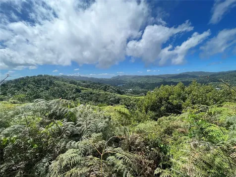 PR-518 Km.10.0 Garzas Ward Adjuntas PR 00601