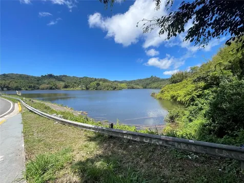 PR-518 Km.10.0 Garzas Ward Adjuntas PR 00601