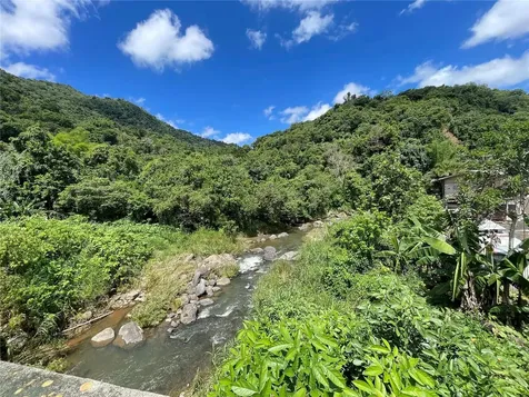 PR-518 Km.10.0 Garzas Ward Adjuntas PR 00601