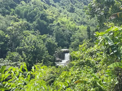 PR-518 Km.10.0 Garzas Ward Adjuntas PR 00601