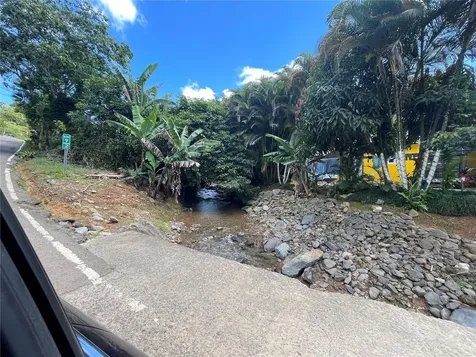 PR-518 Km.10.0 Garzas Ward Adjuntas PR 00601