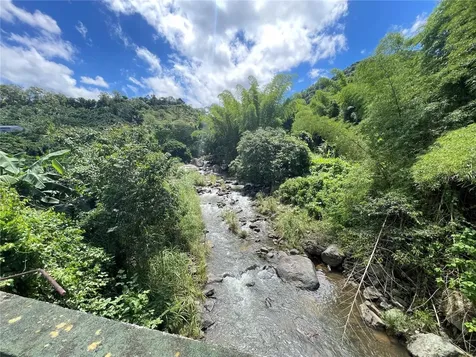 PR-518 Km.10.0 Garzas Ward Adjuntas PR 00601