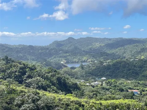 PR-518 Km.10.0 Garzas Ward Adjuntas PR 00601