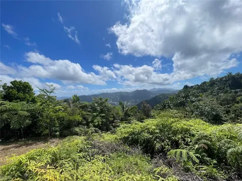 PR-518 Km.10.0 Garzas Ward Adjuntas PR 00601
