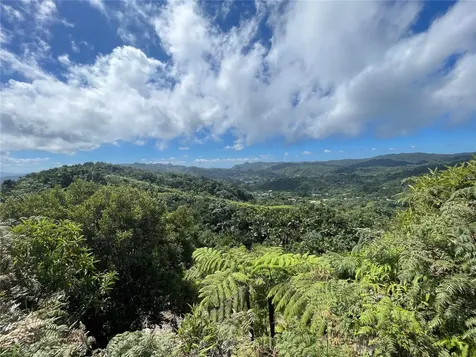 PR-518 Km.10.0 Garzas Ward Adjuntas PR 00601