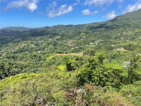 PR-518 Km.10.0 Garzas Ward Adjuntas PR 00601