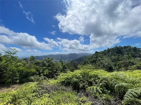PR-518 Km.10.0 Garzas Ward Adjuntas PR 00601
