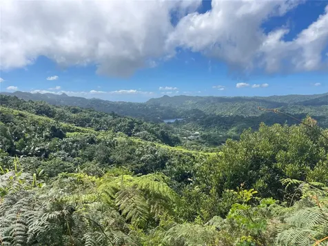 PR-518 Km.10.0 Garzas Ward Adjuntas PR 00601