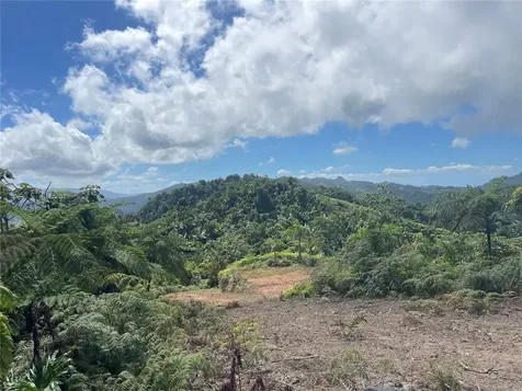 PR-518 Km.10.0 Garzas Ward Adjuntas PR 00601