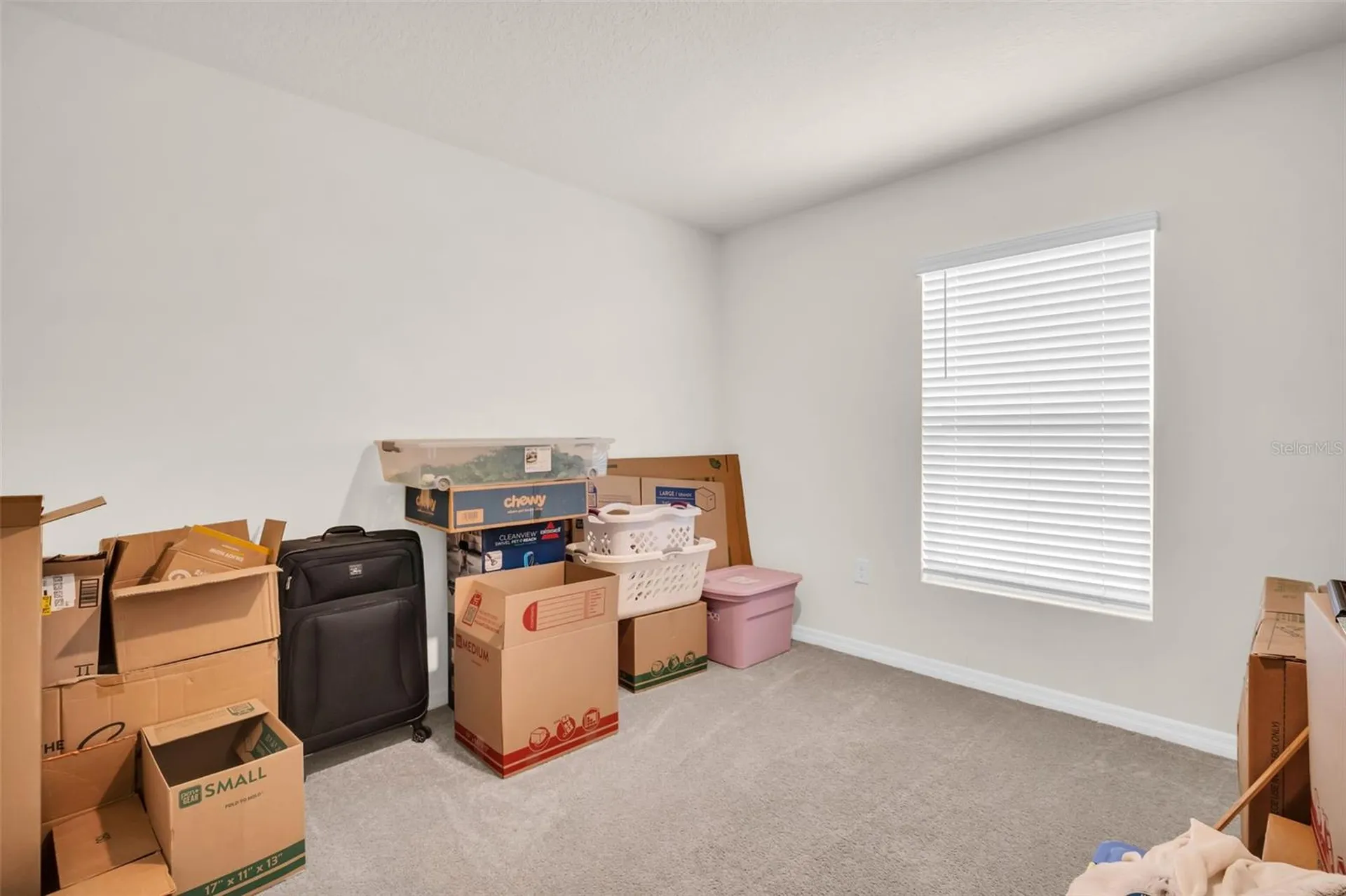 7774 Sail Clover Lane Zephyrhills FL 33540