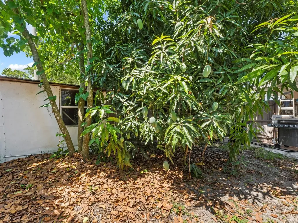 2800 Sunset Drive NW Winter Haven FL 33881