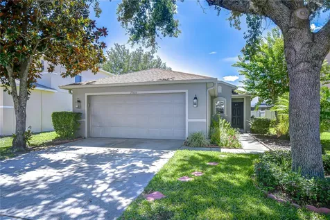19555 Timberbluff Drive Land O Lakes FL 34638