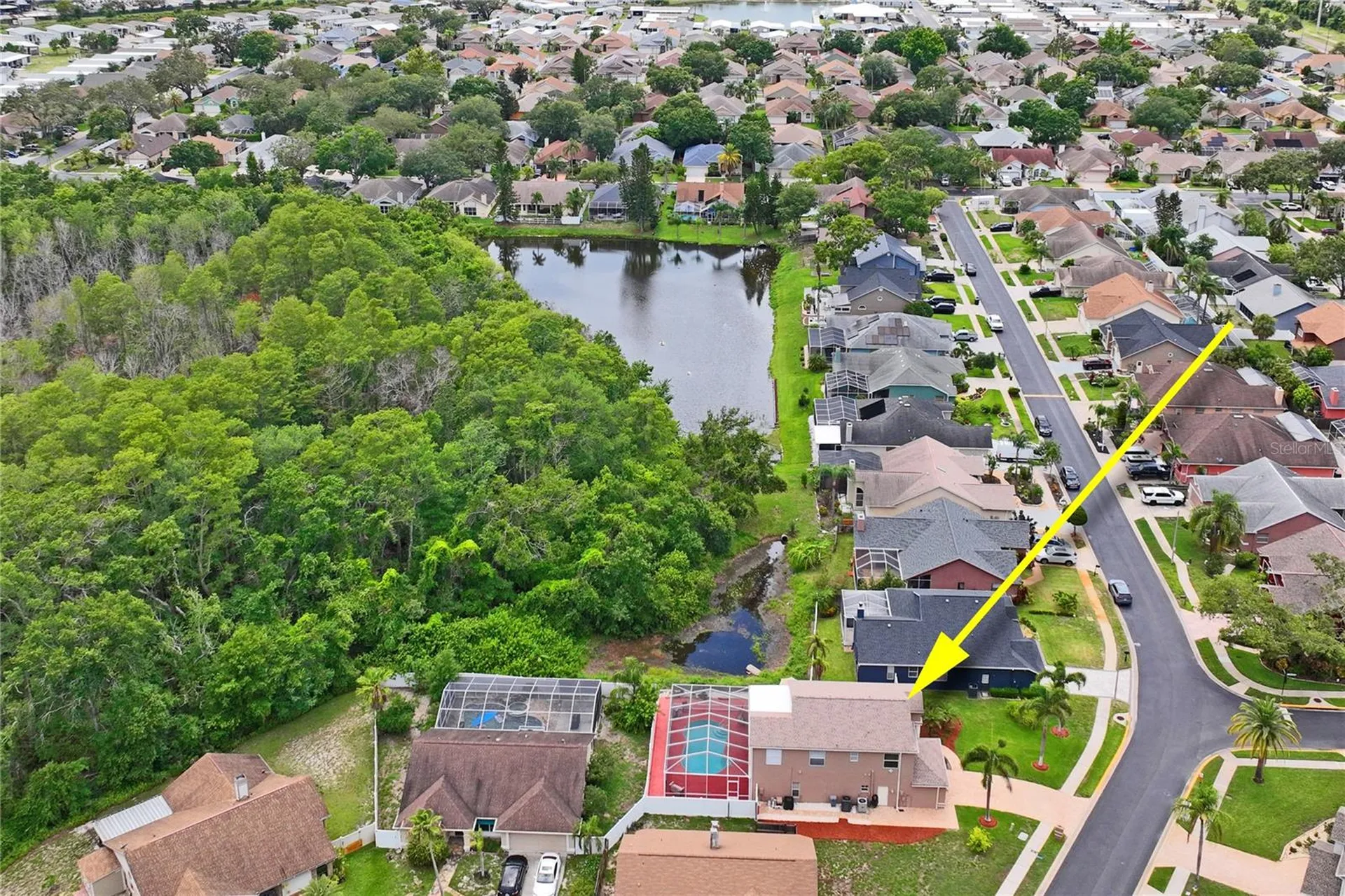 277 Wood Dove Avenue Tarpon Springs FL 34689
