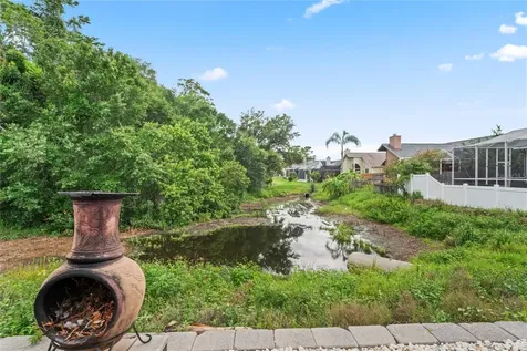 277 Wood Dove Avenue Tarpon Springs FL 34689