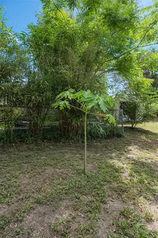1380 S Park Avenue Titusville FL 32780