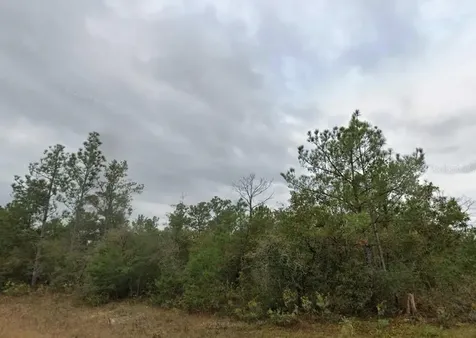 Drumlin Street Chipley FL 32428