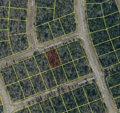 Drumlin Street Chipley FL 32428