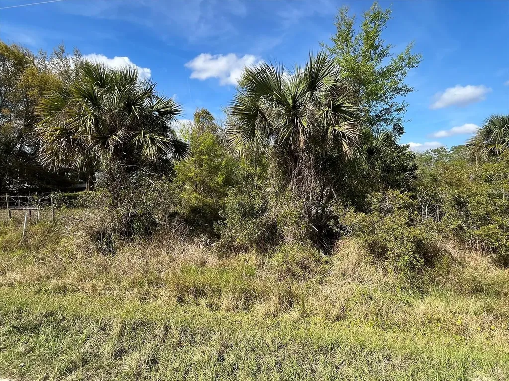 14667 NW 294th Street Okeechobee FL 34972