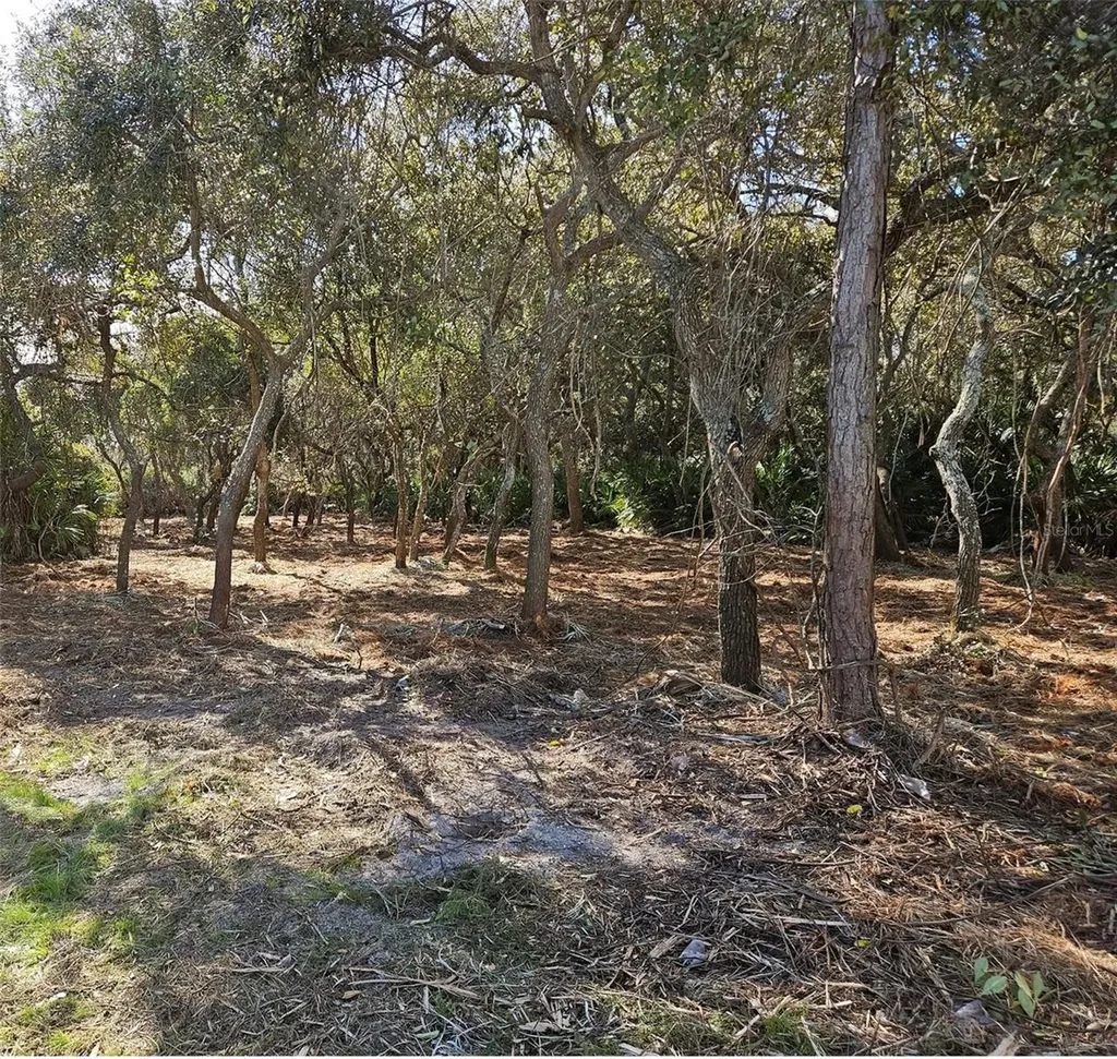 31 Flagship Drive Palm Coast FL 32137