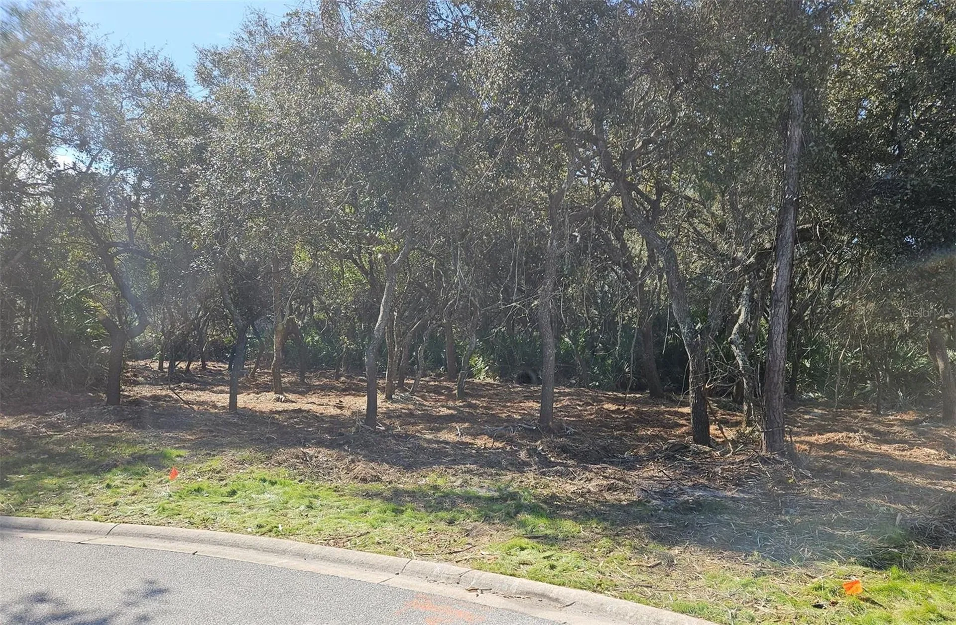 31 Flagship Drive Palm Coast FL 32137