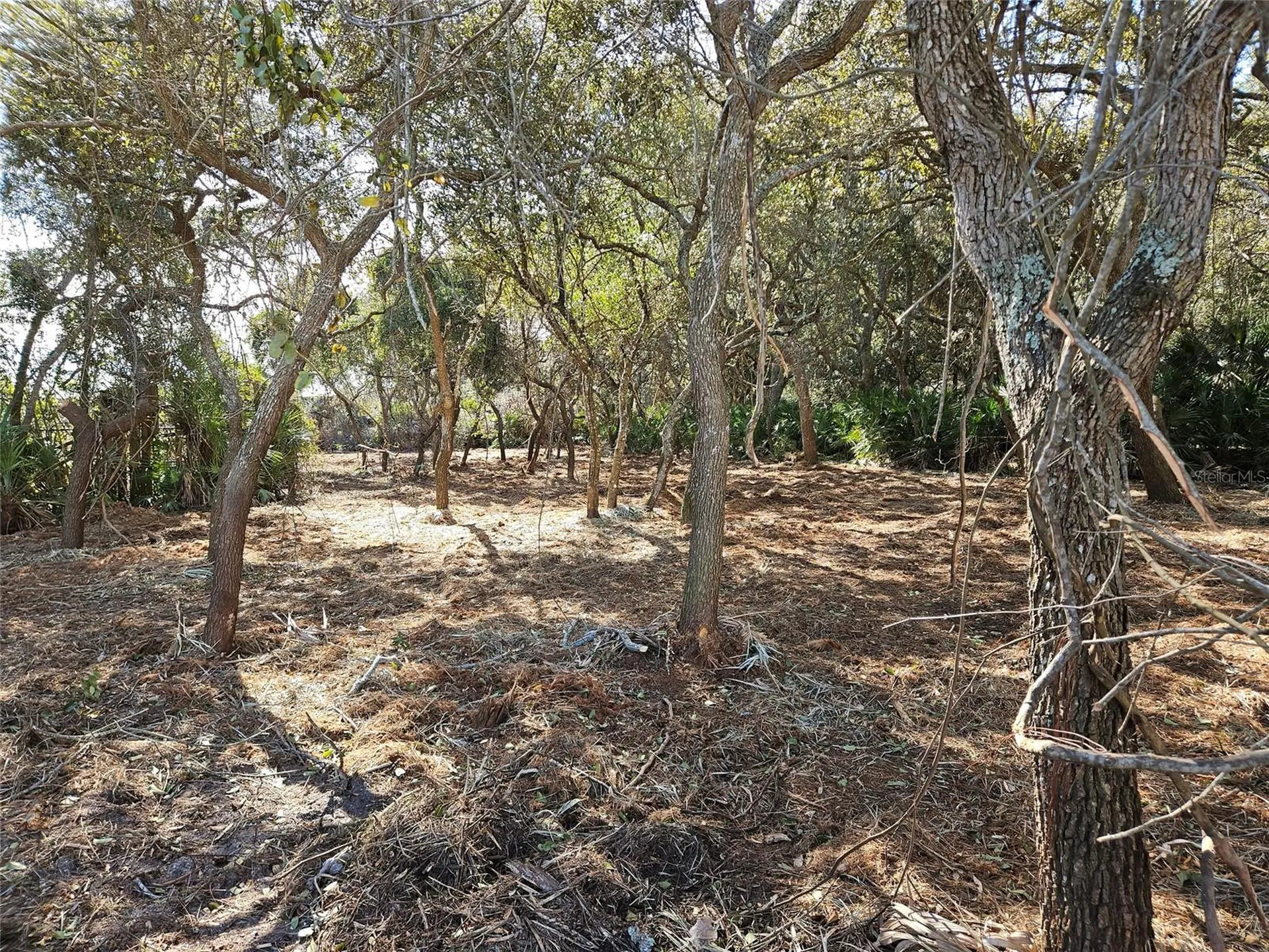 31 Flagship Drive Palm Coast FL 32137