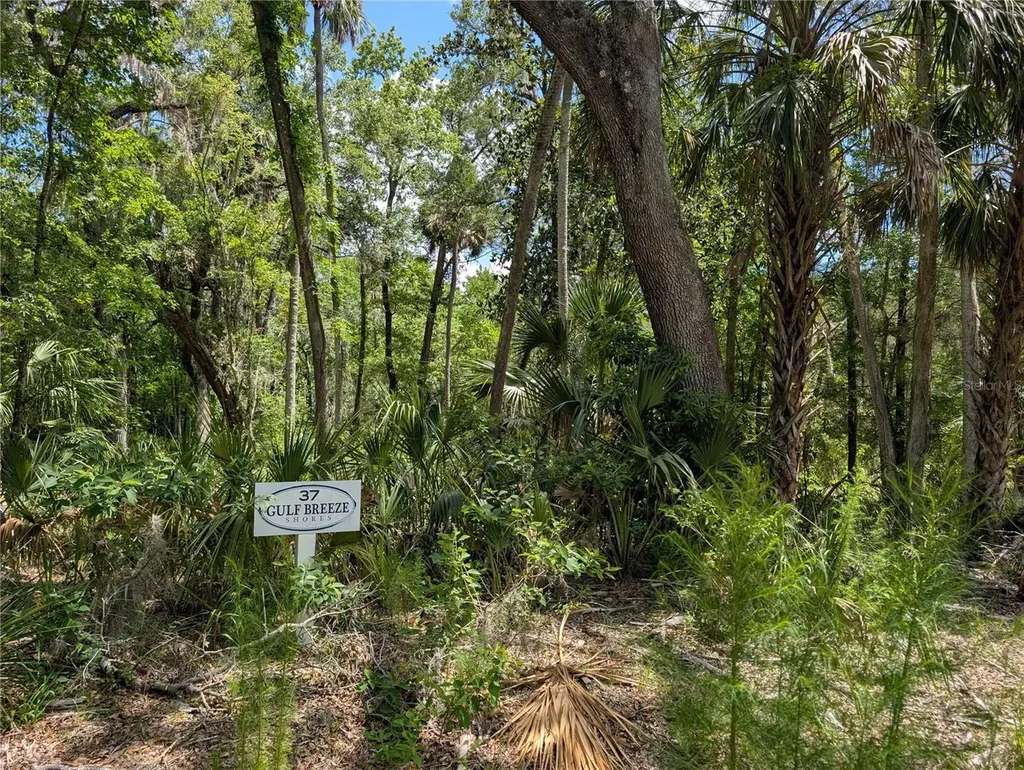 13159 W Gulf Shores Street Inglis FL 34449