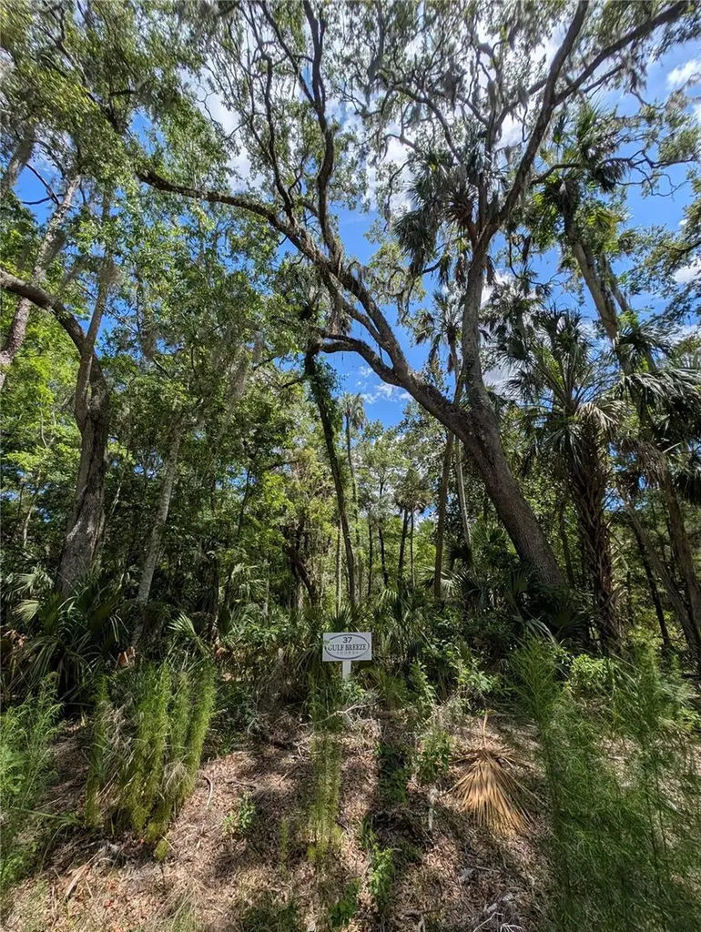 13159 W Gulf Shores Street Inglis FL 34449