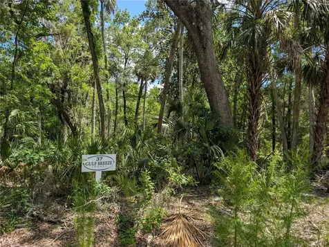 13159 W Gulf Shores Street Inglis FL 34449