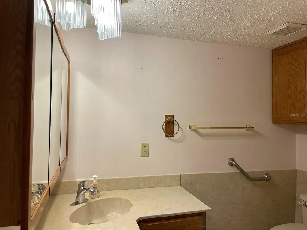 20971 Negril Court Lutz FL 33558