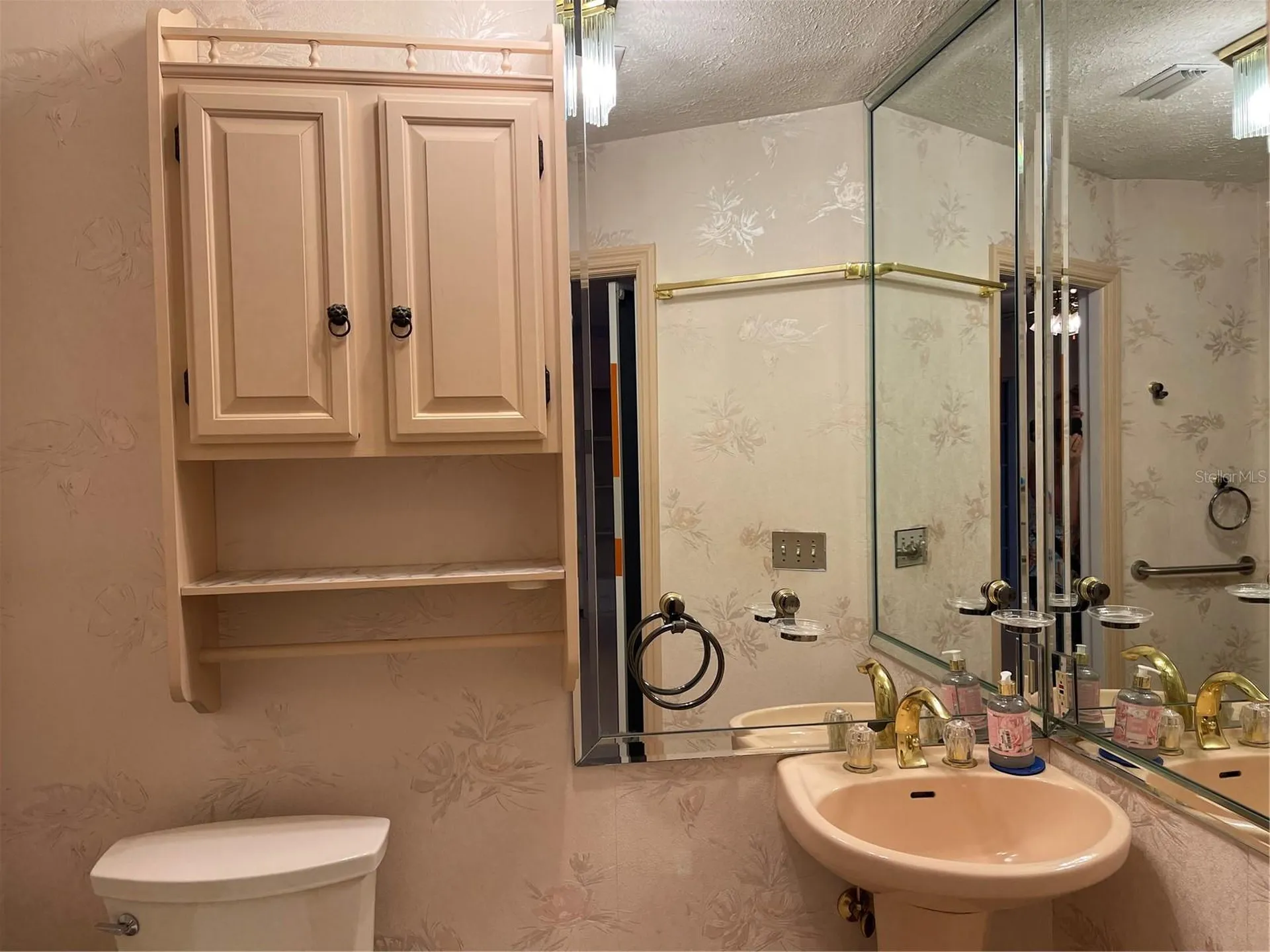 20971 Negril Court Lutz FL 33558